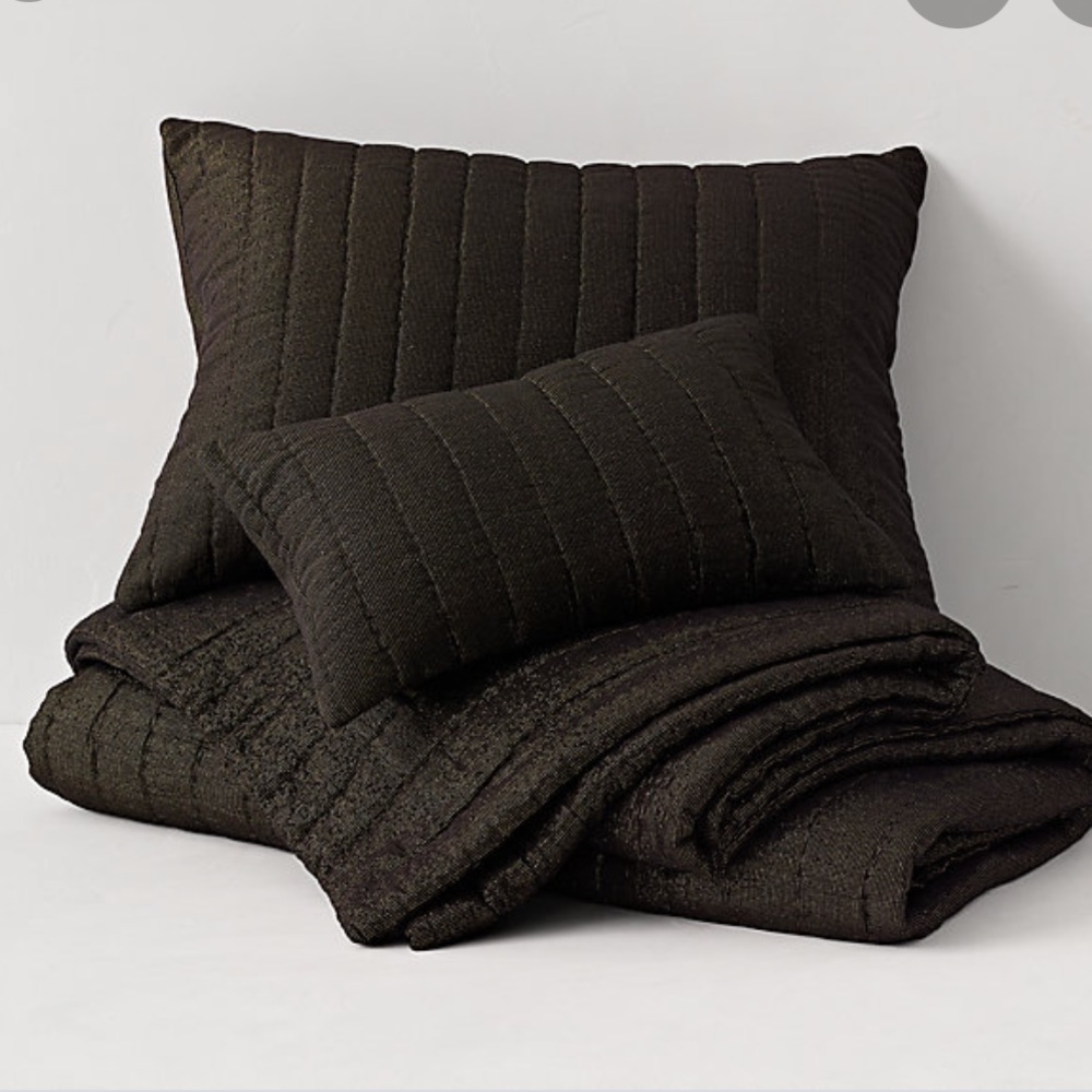 NWT Restoration Hardware Euro Shams (2)